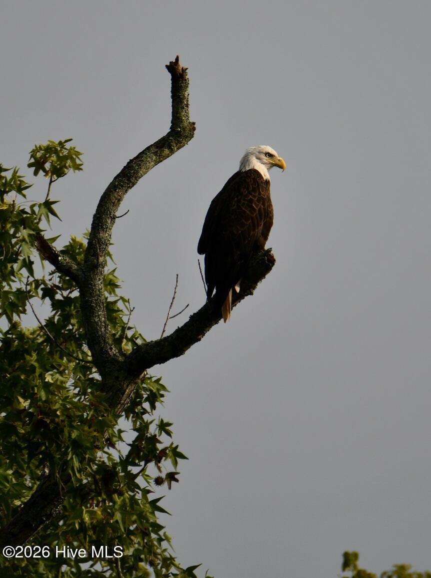 108 Farmington Road, Grimesland, NC, 27837