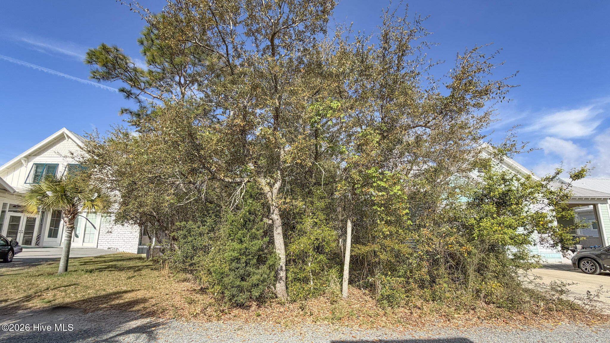 100565581 | Photo 13