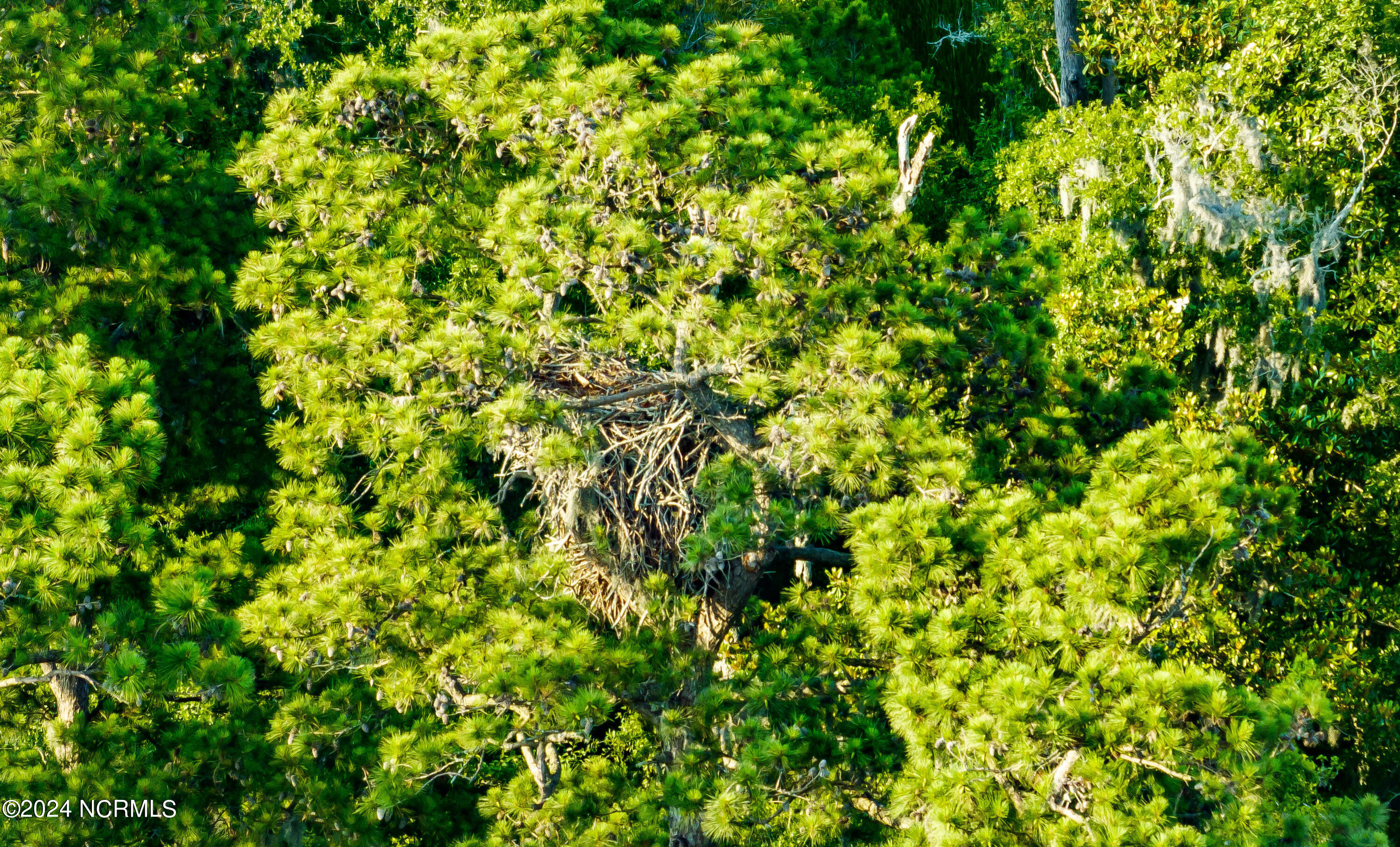 100497530 | Photo 61