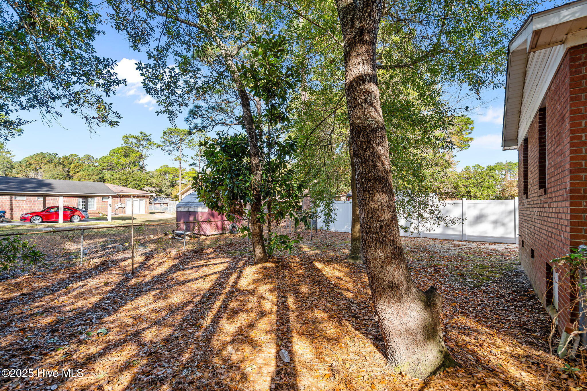 100559605 | Photo 47