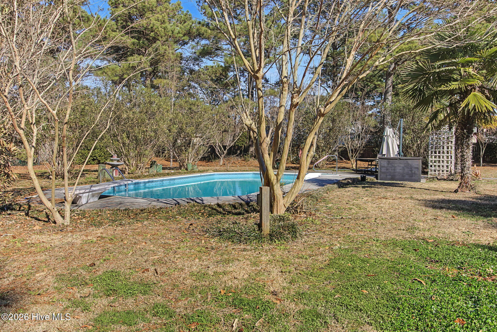 100547779 | Photo 46