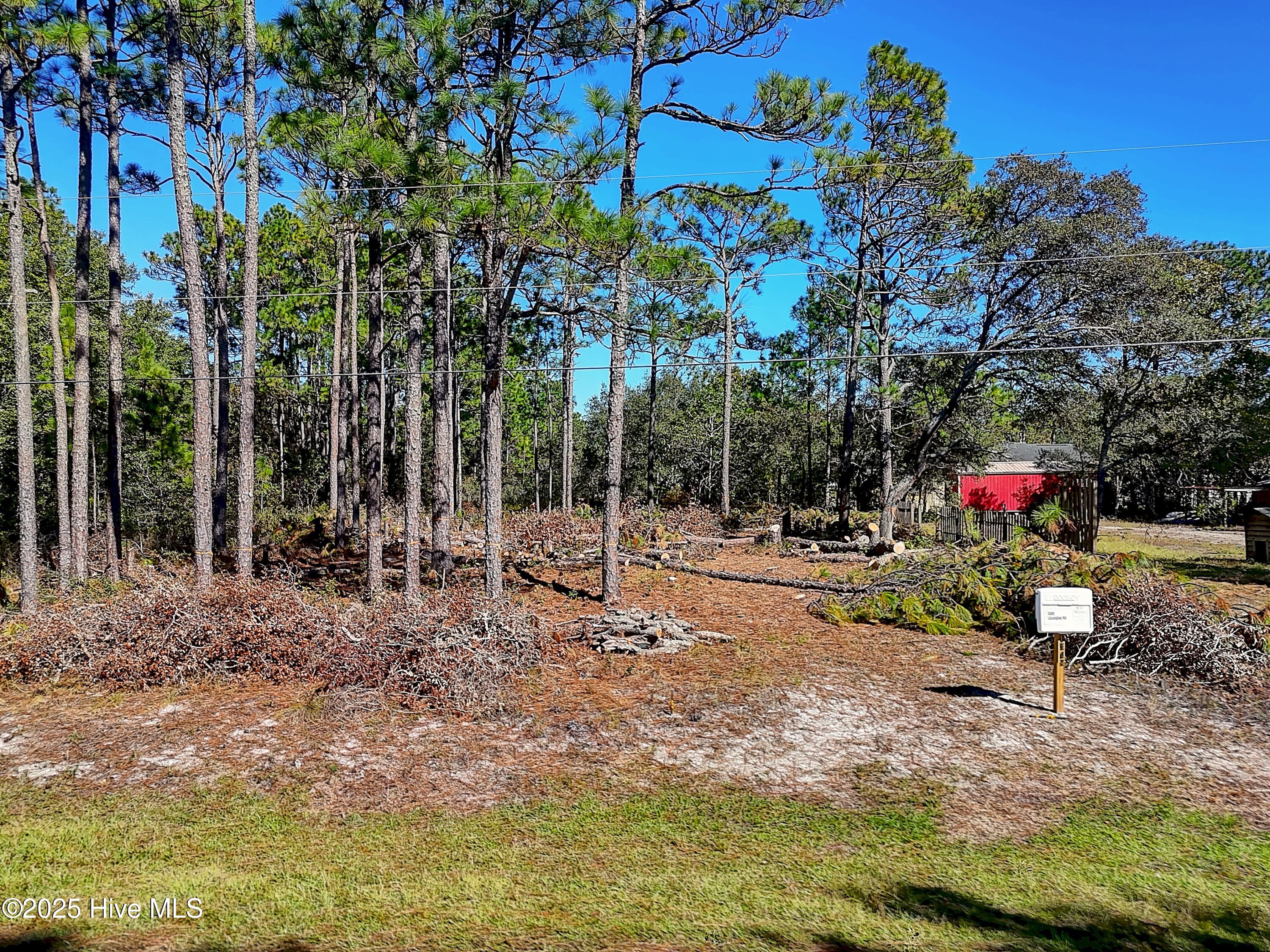 100538717 | Photo 13