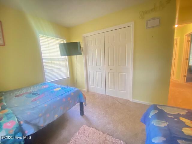 100537292 | Photo 42