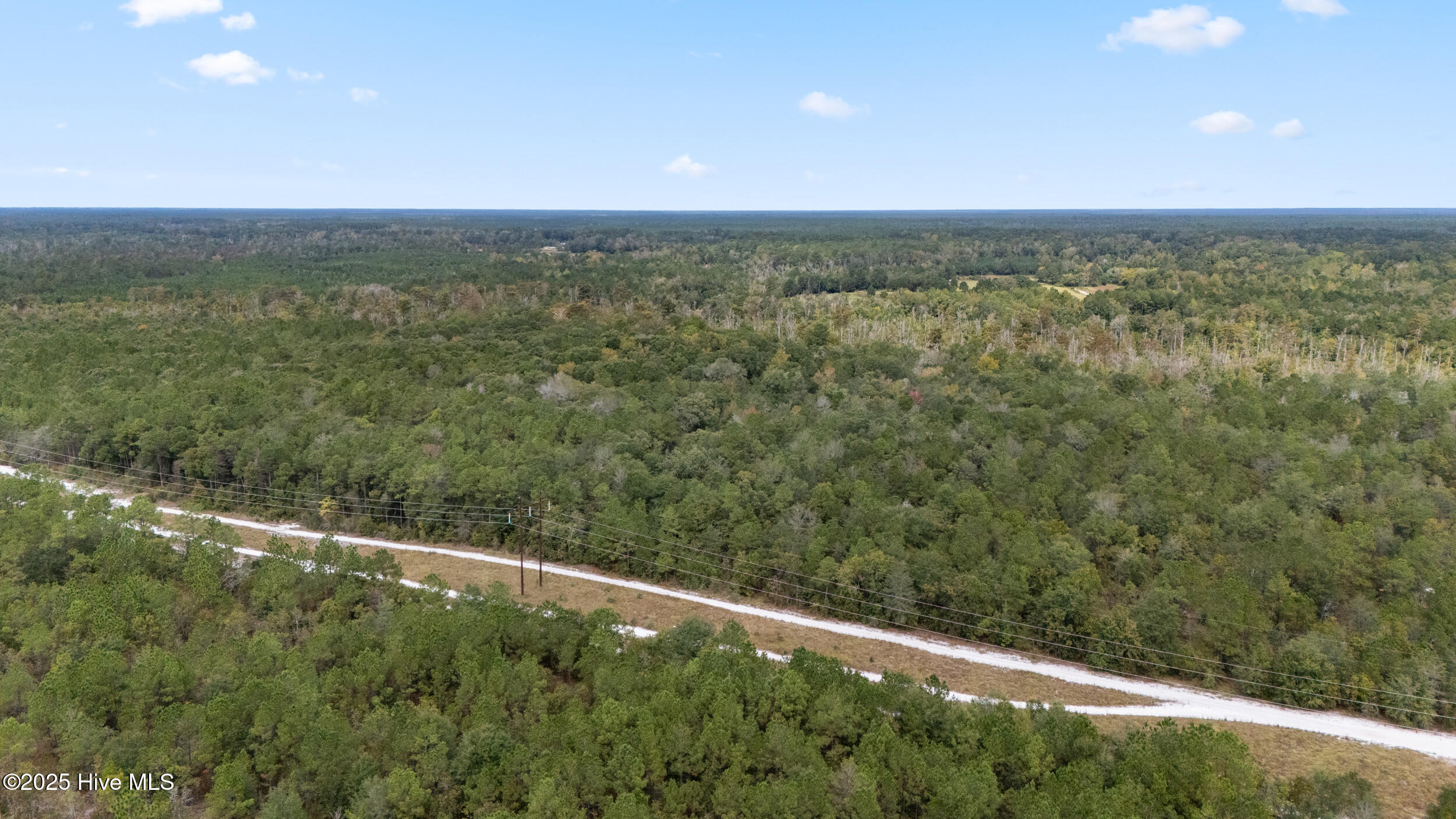 100536371 | Photo 21