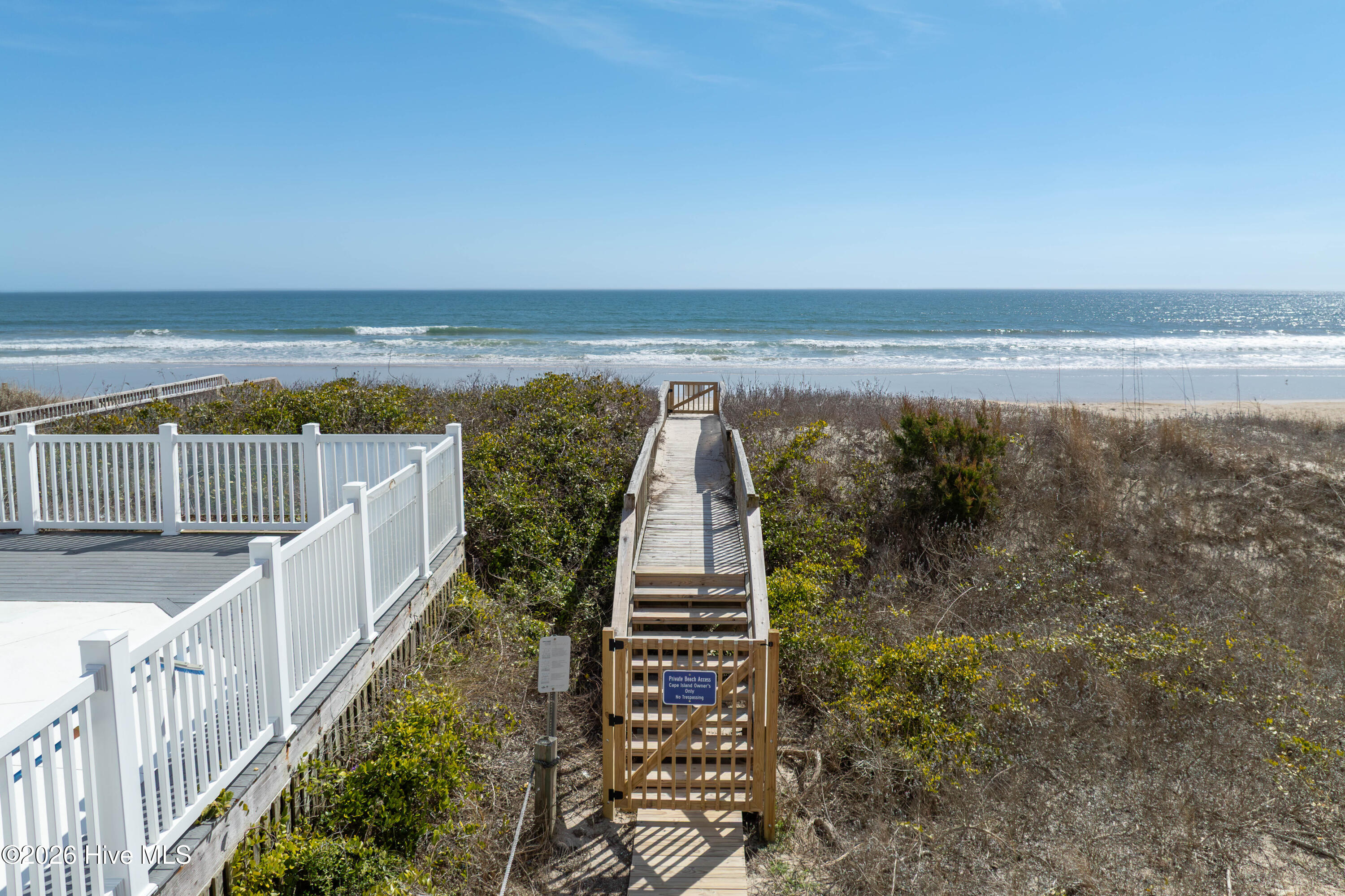 100558828 | Photo 39