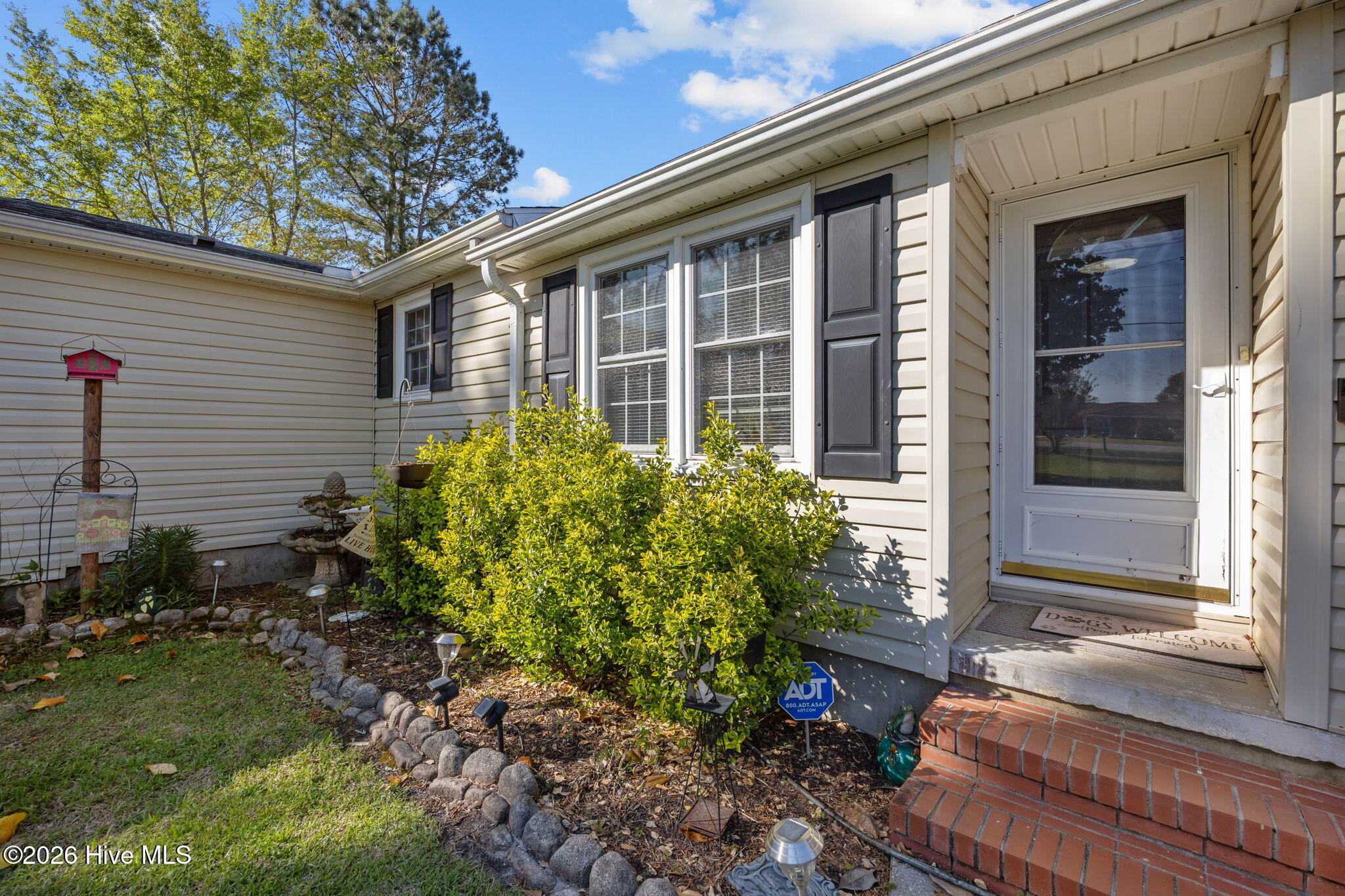 100566121 | Photo 17