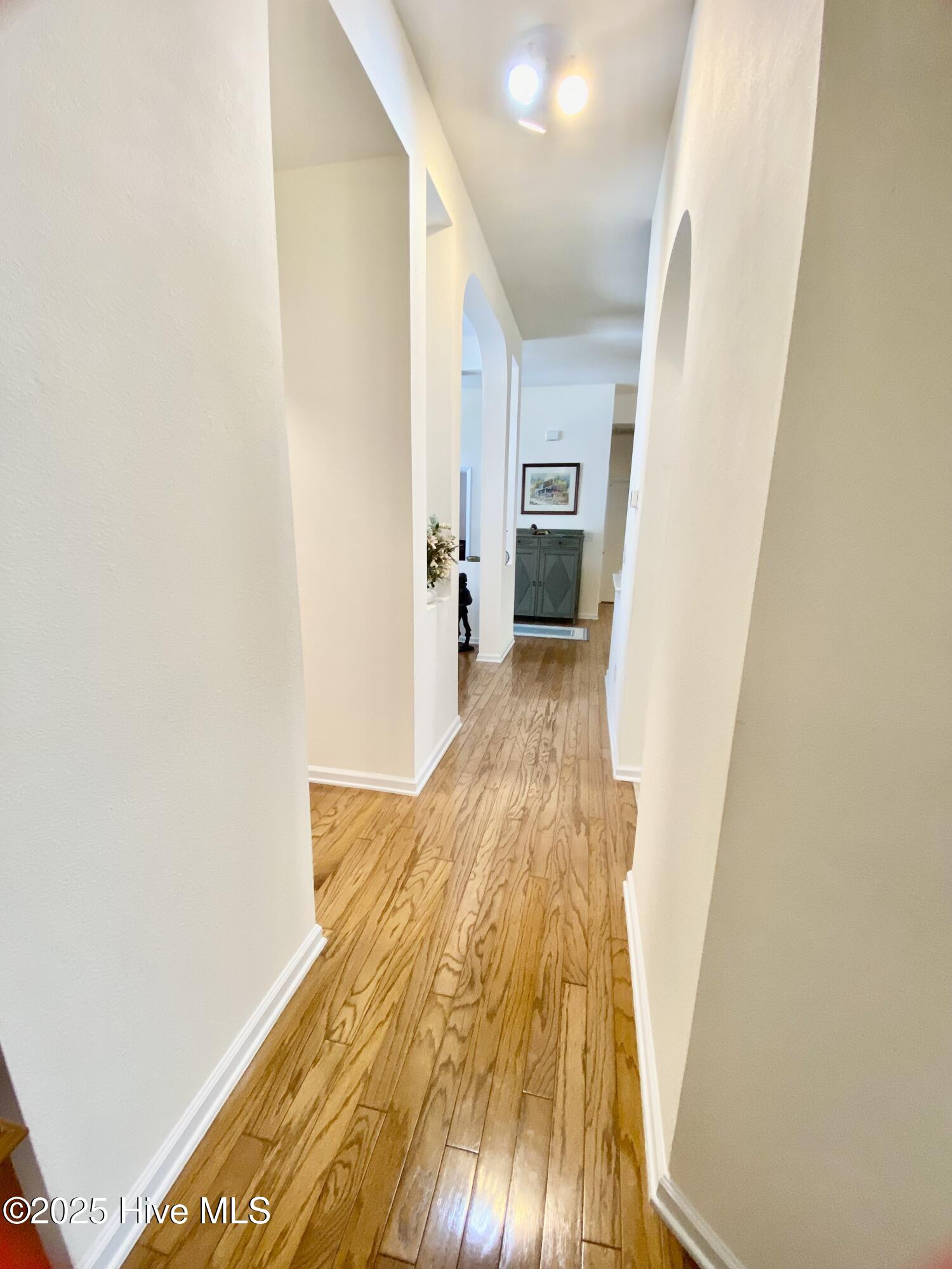 100539119 | Photo 18