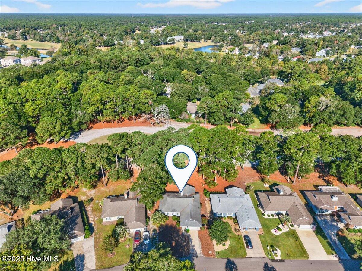 100536969 | Photo 32