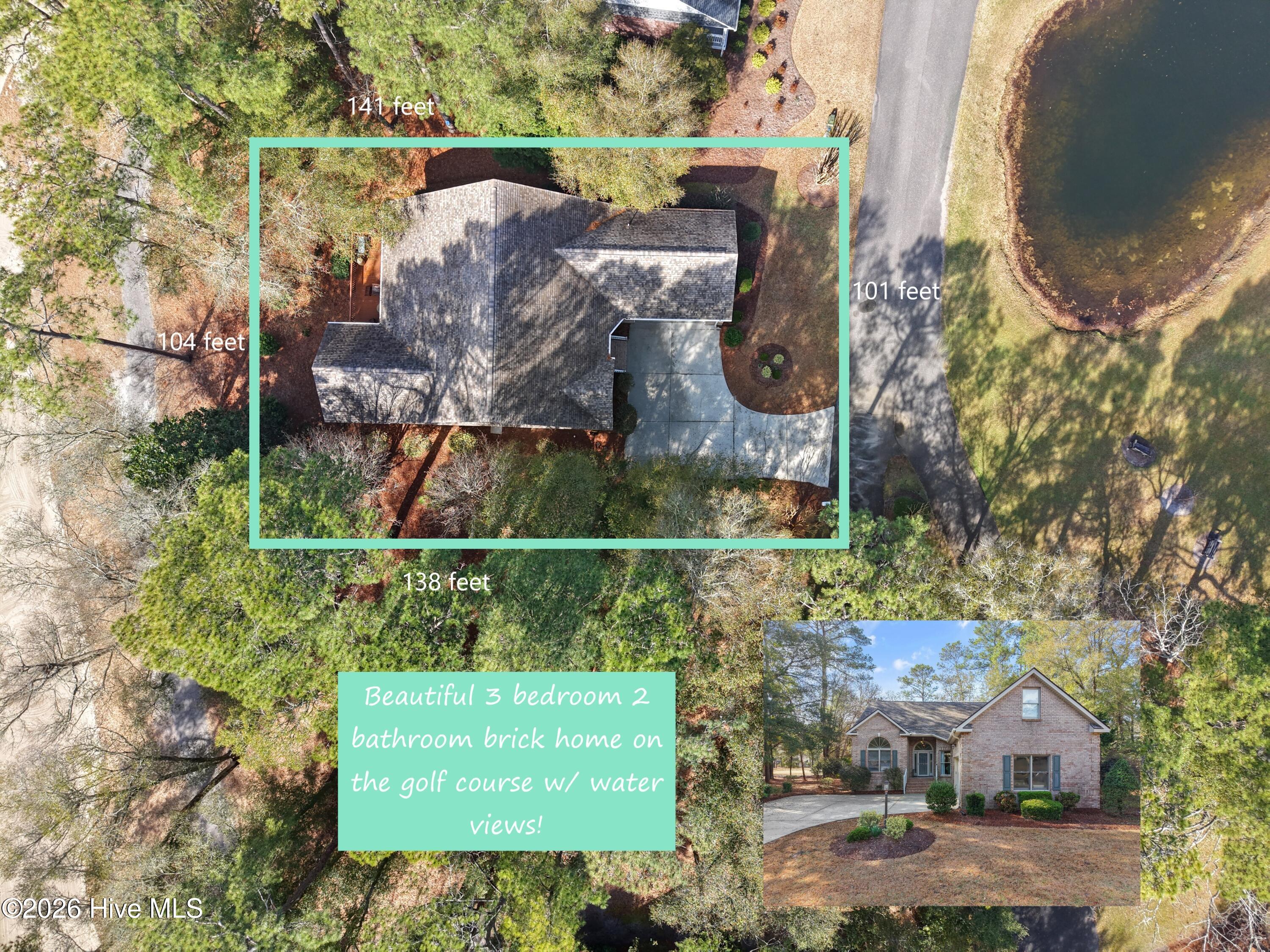 100558651 | Photo 50