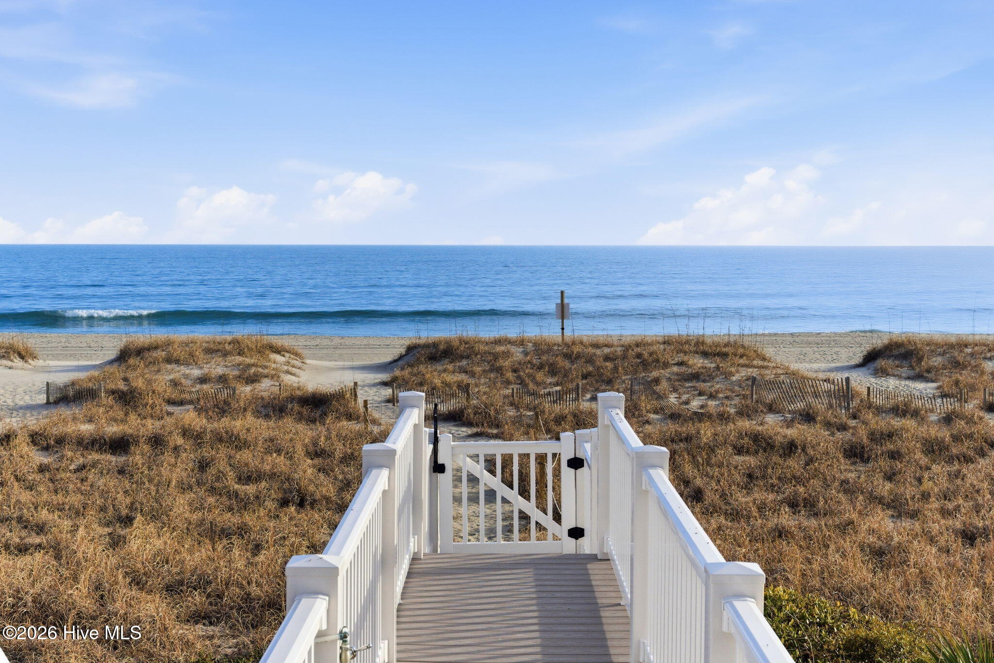 100555473 | Photo 57