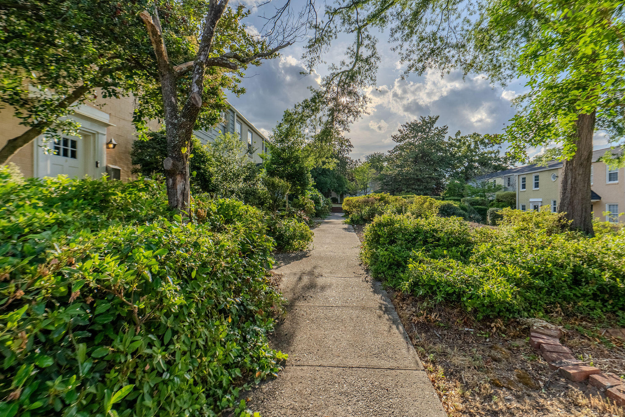 _DSC8965-HDR