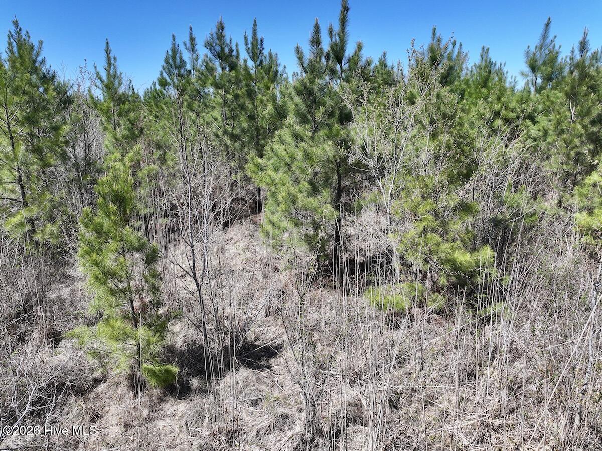 0 Guinea Mill Road, Ernul, NC, 28527