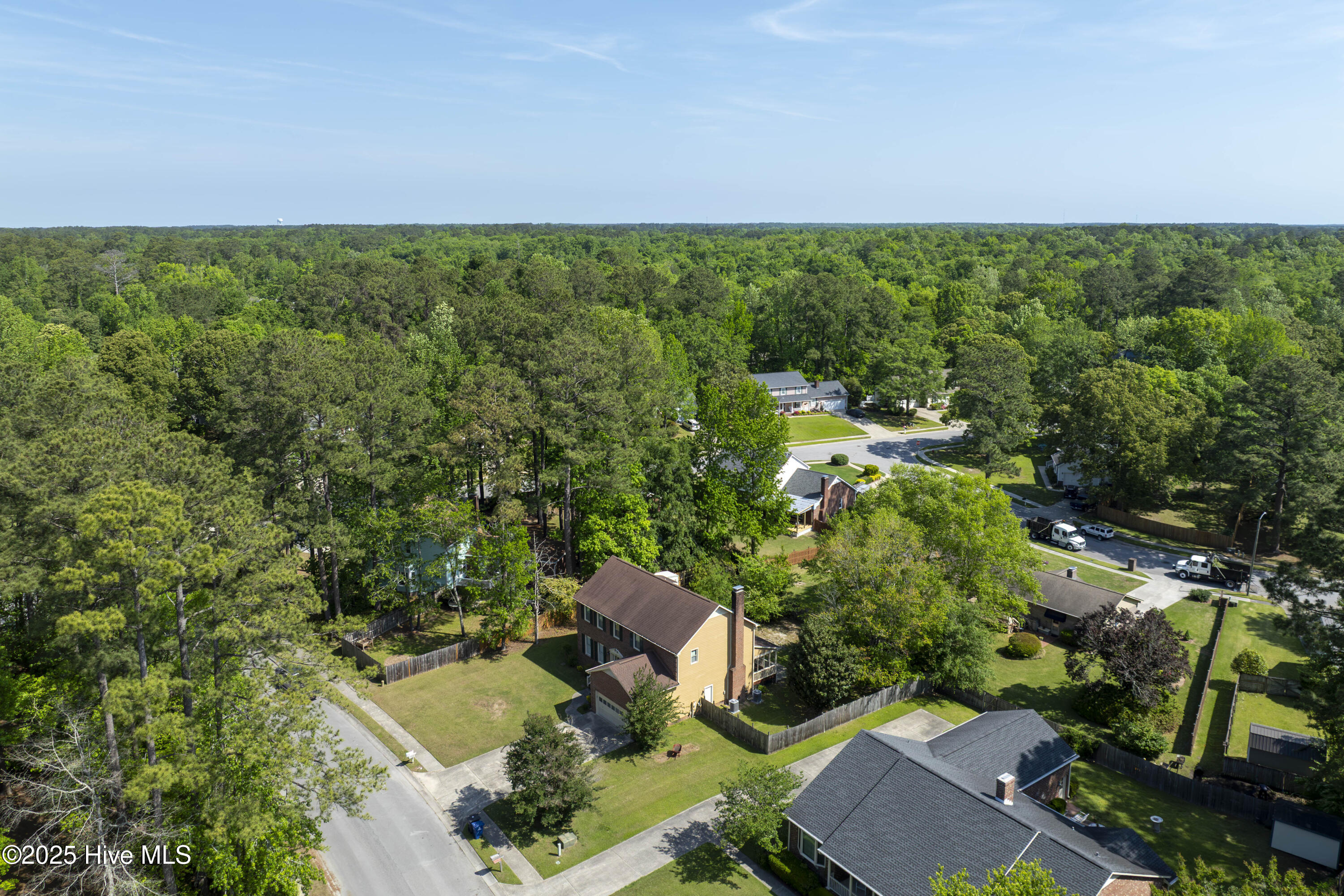 100554842 | Photo 39