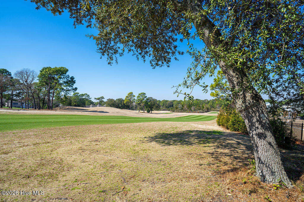 100553163 | Photo 50