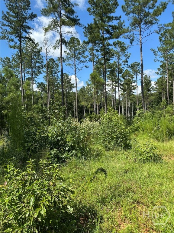 00 Fears, Madison, GA, 30650