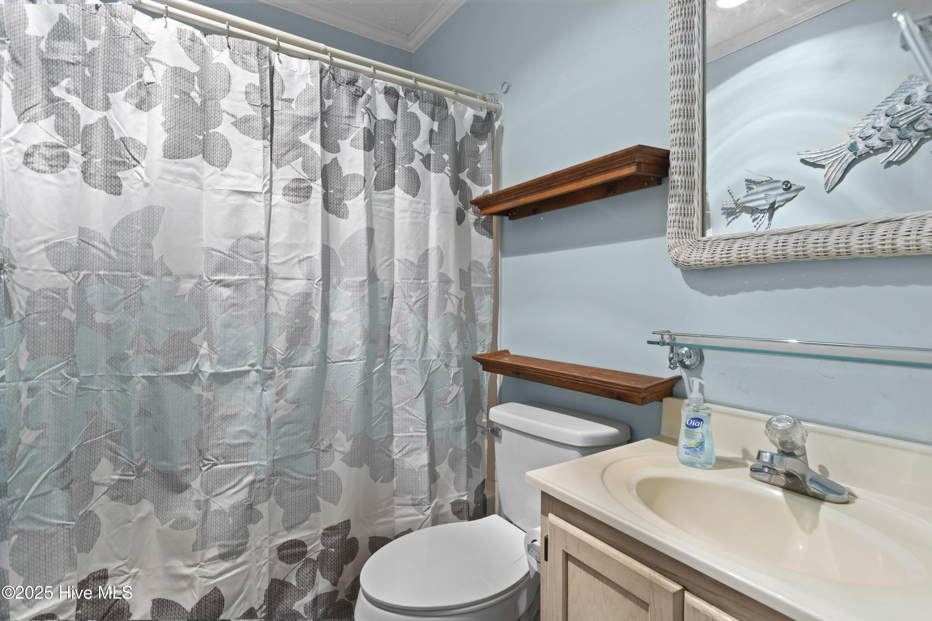 100539529 | Photo 16