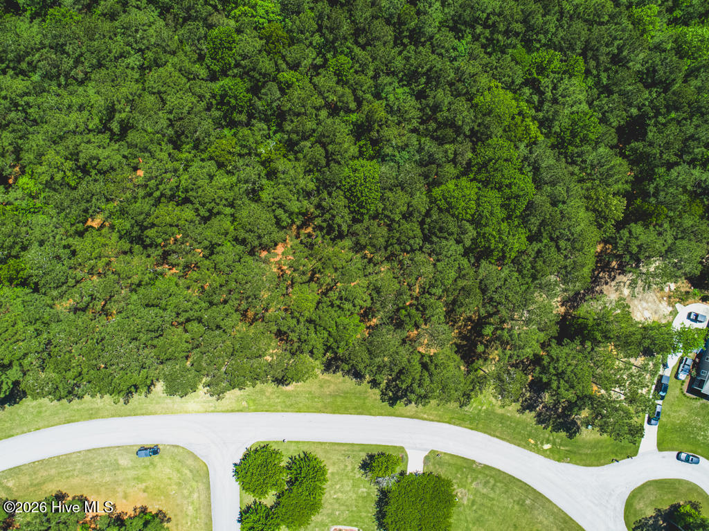 321 Wild Swan, Minnesott Beach, North Carolina, 0 ,Residential Lot,For sale,Wild Swan,100571497