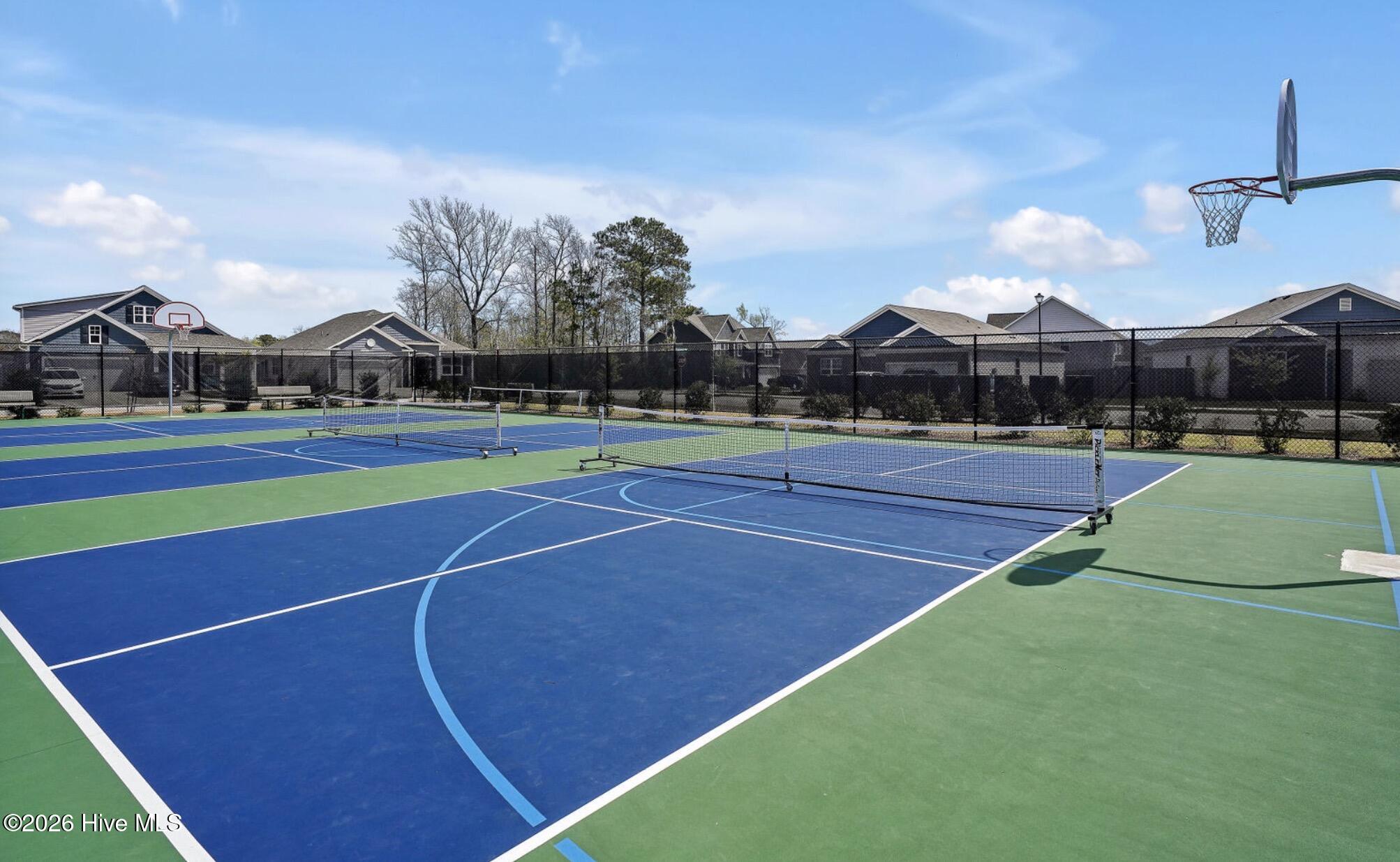 100566526 | Photo 39