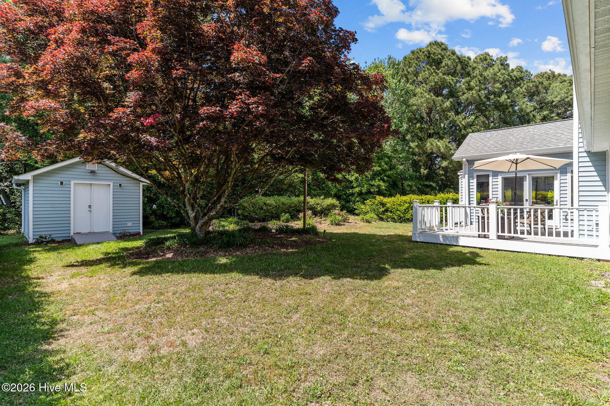 100568995 | Photo 44