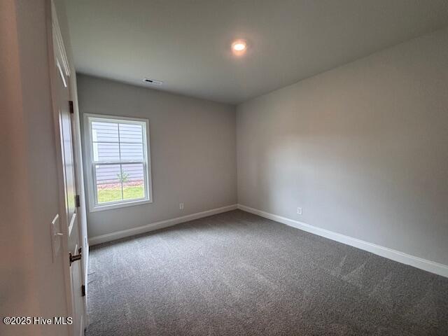 110 Firethorn Circle, Wallace, NC 28466 – photo 7: 110 Firethorn