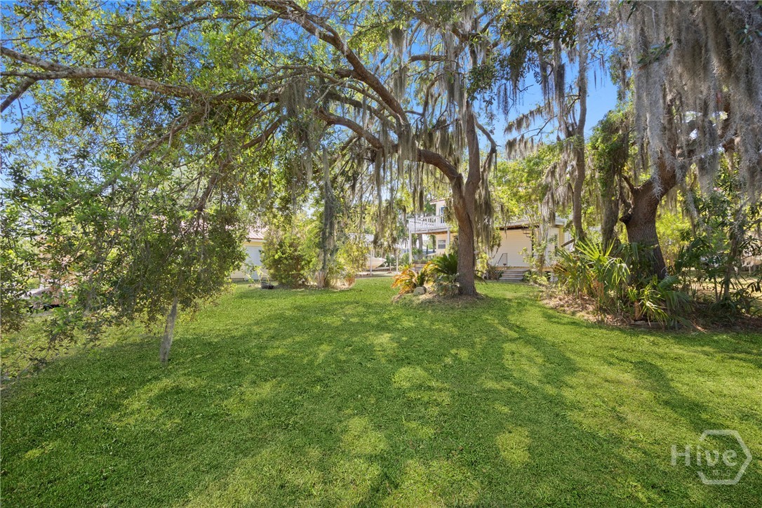 Expansive backyard shaded by grand oak trees drape