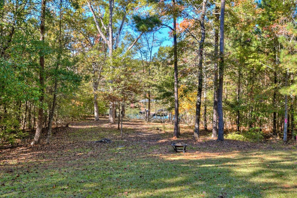 1147 Maiden Cane Way, Lincolnton, GA 30817 Listing Photo  15
