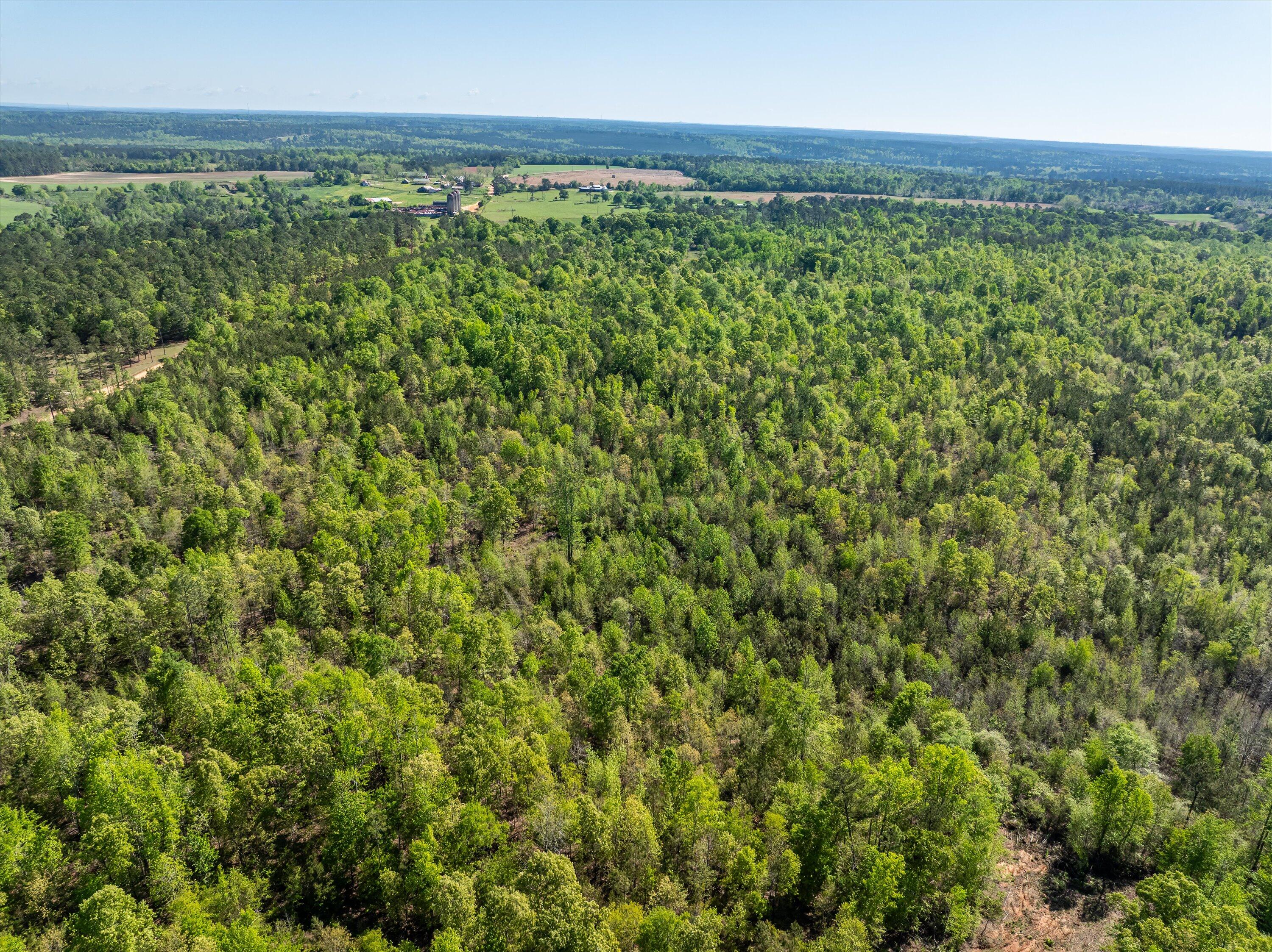 12-DJI_0662-HDR