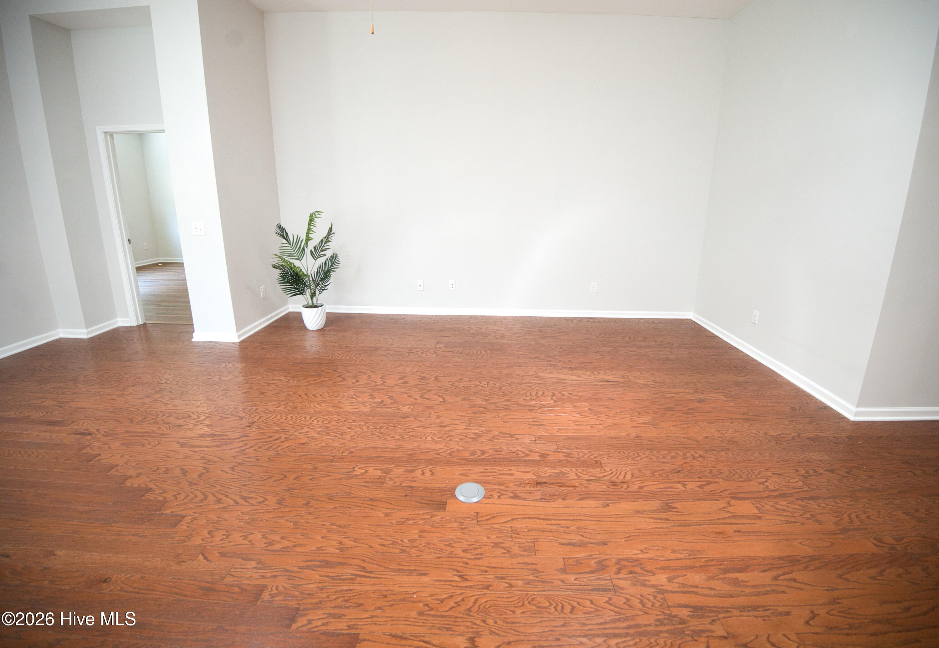 100569756 | Photo 43