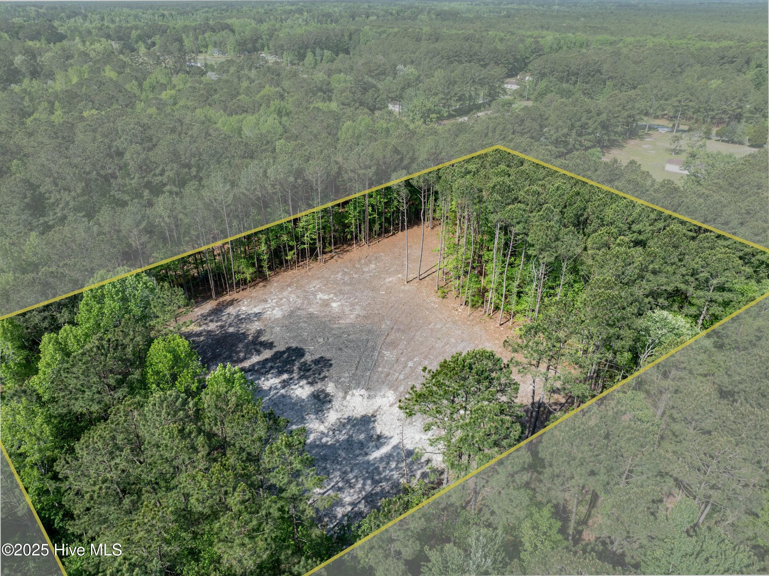 100503919 | Photo 21