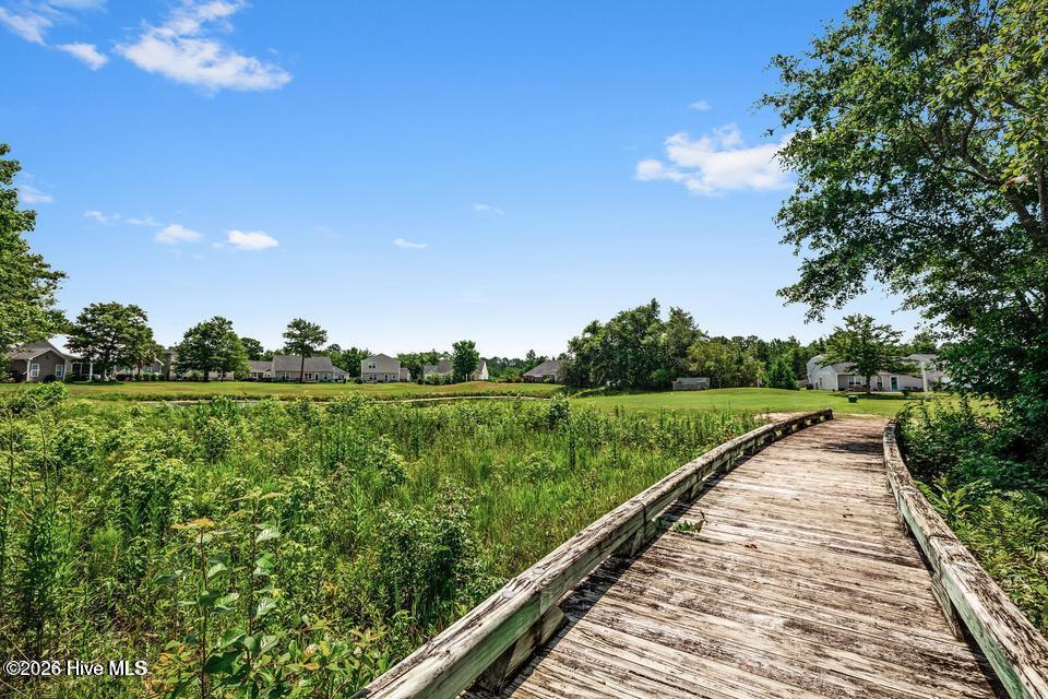 100565114 | Photo 24