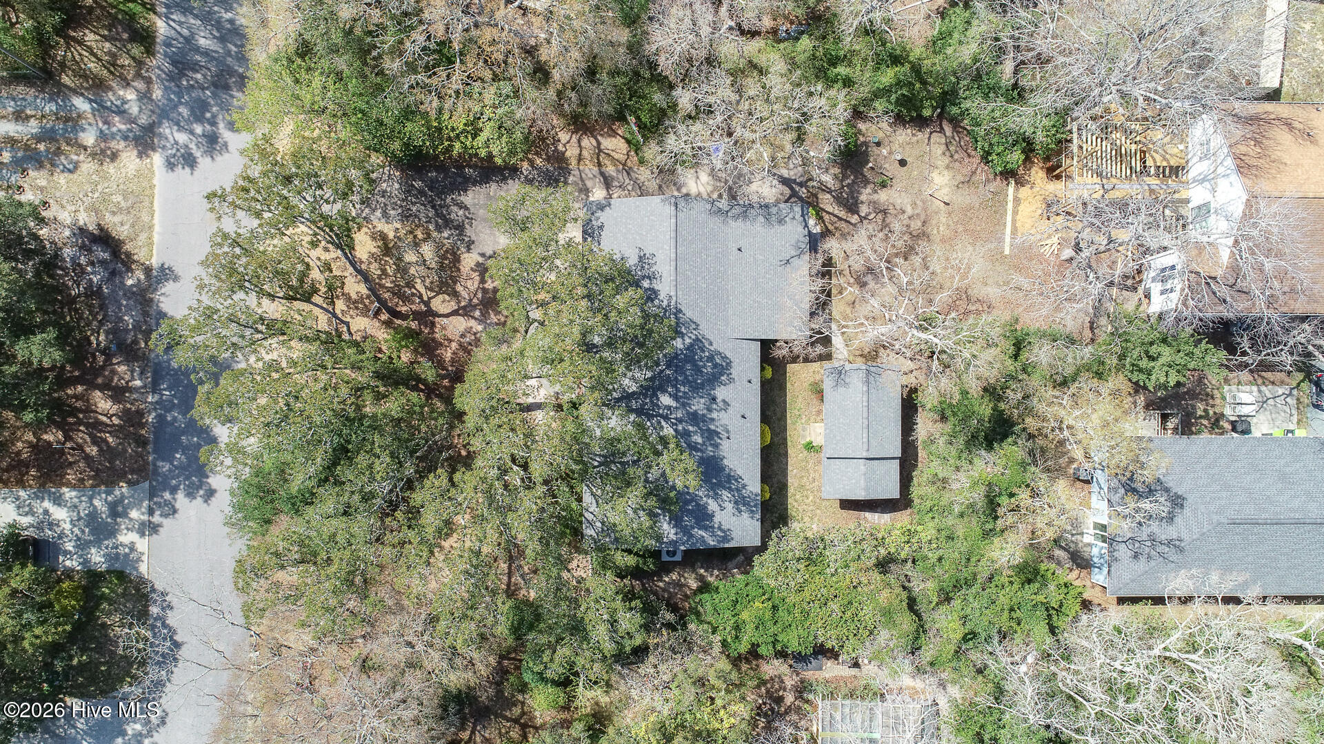 100561205 | Photo 34