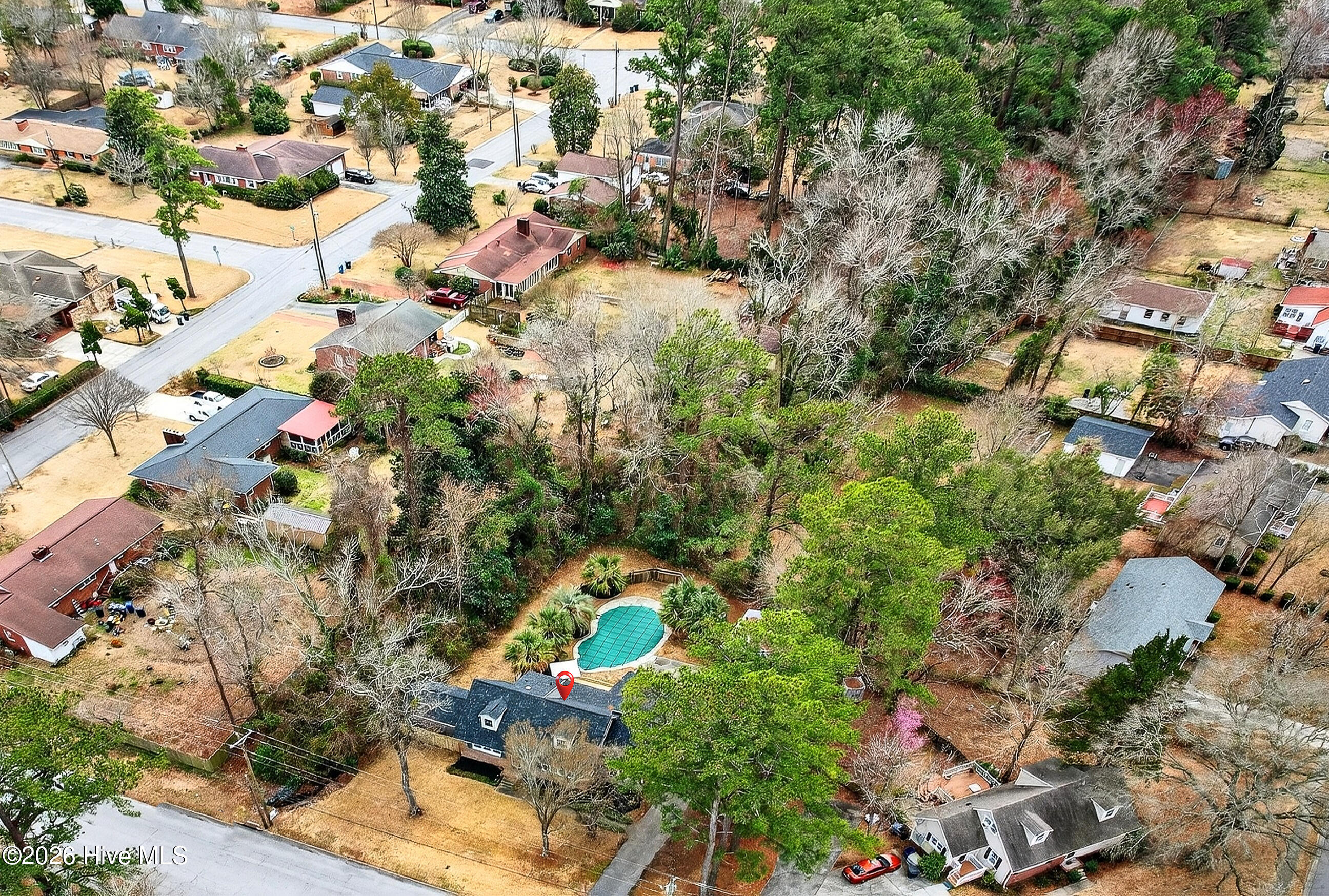 100558512 | Photo 43