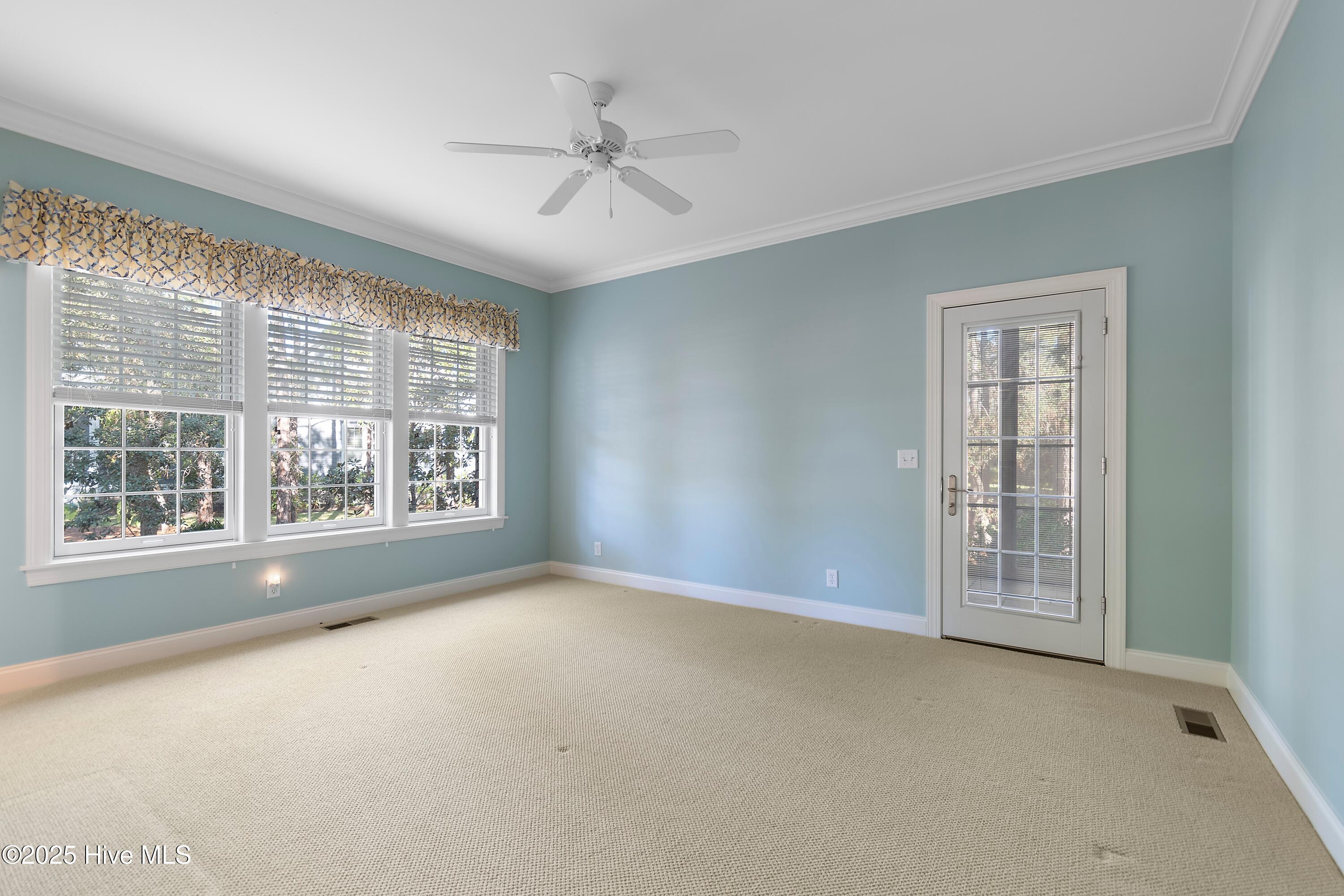 100537918 | Photo 23