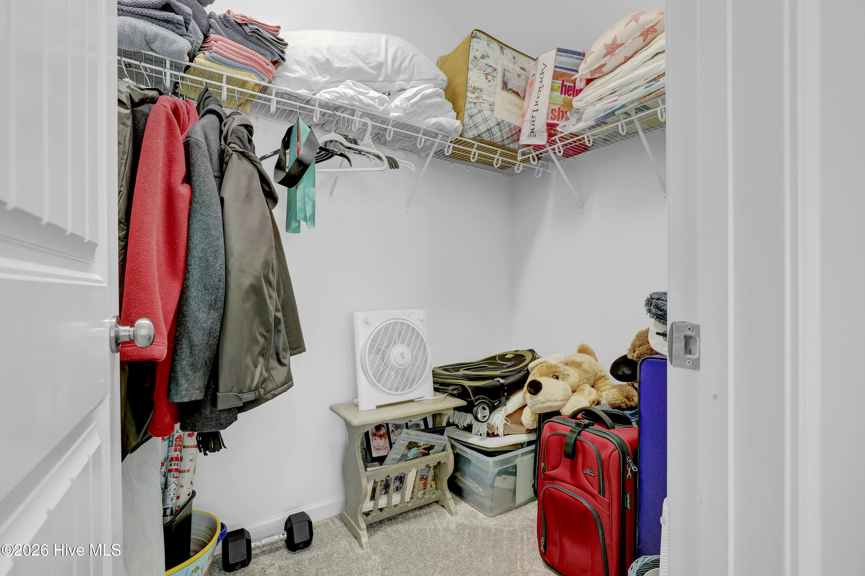 100567607 | Photo 29