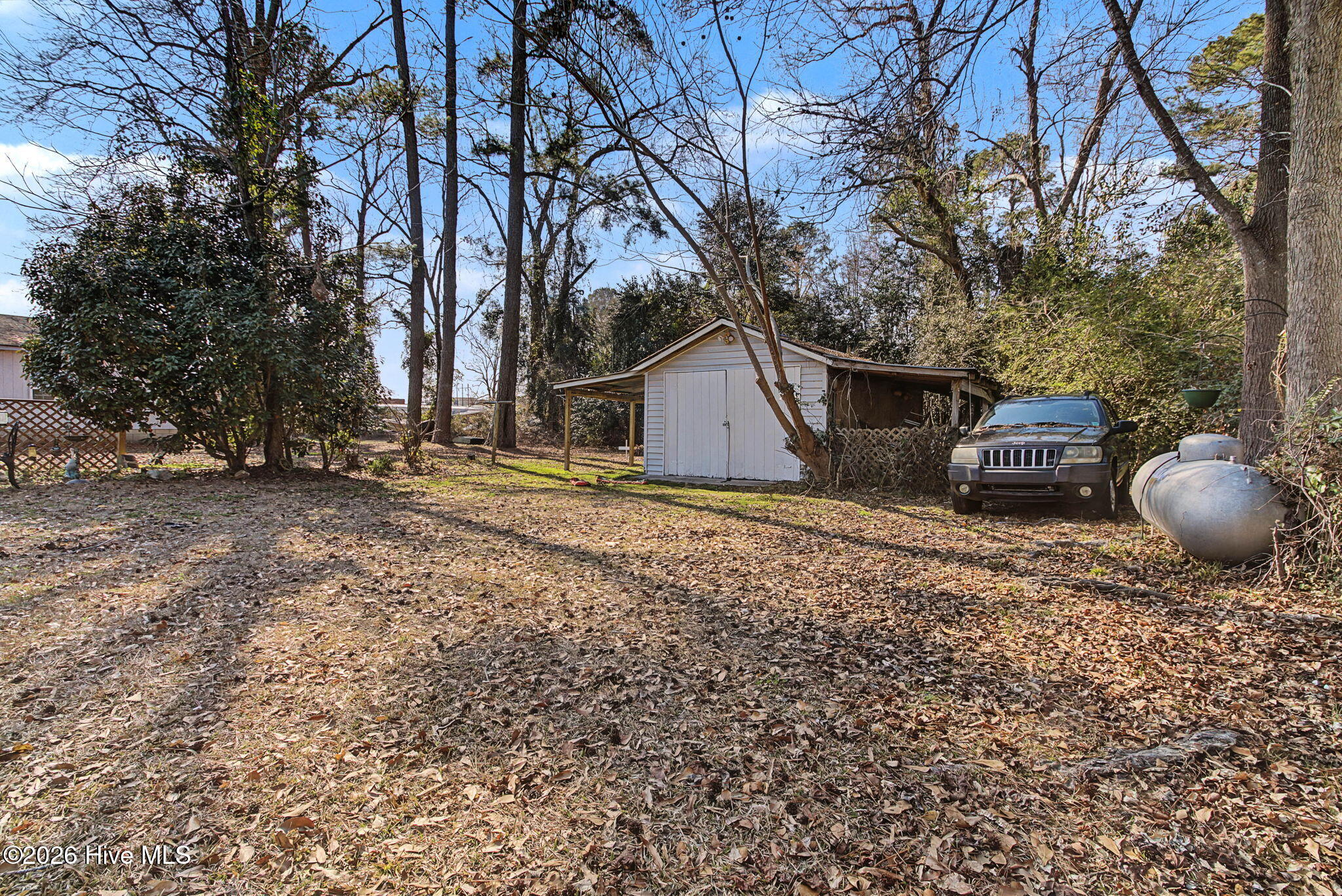 100556985 | Photo 33