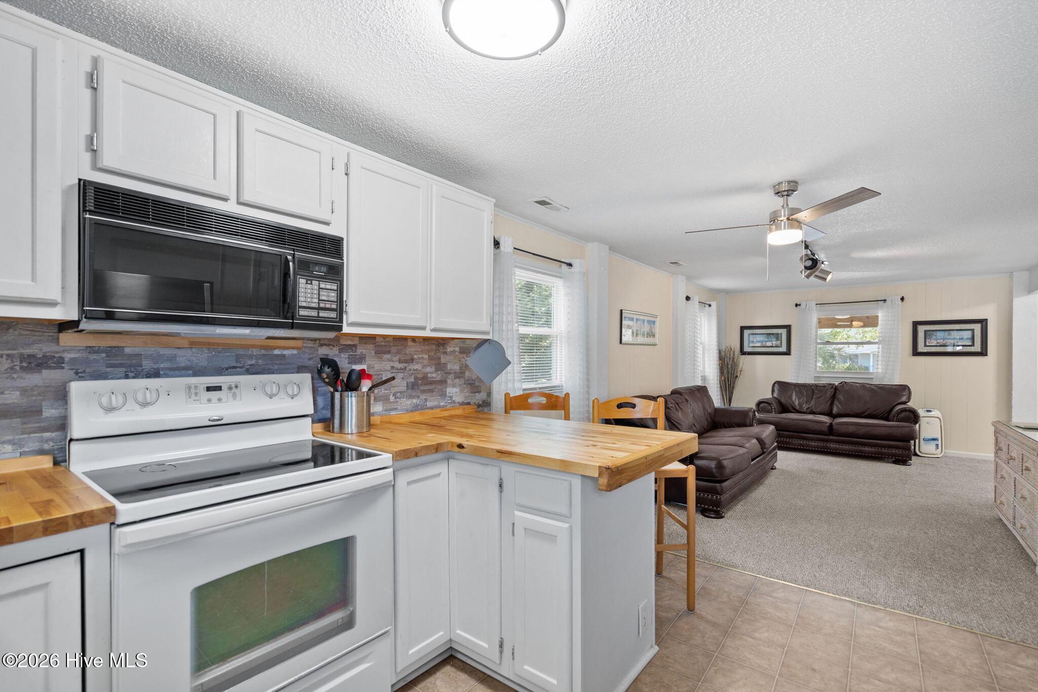 100558110 | Photo 44