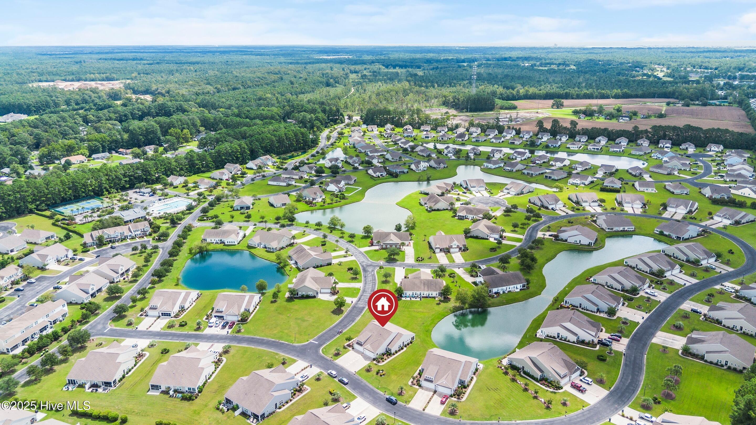 100525343 | Photo 46