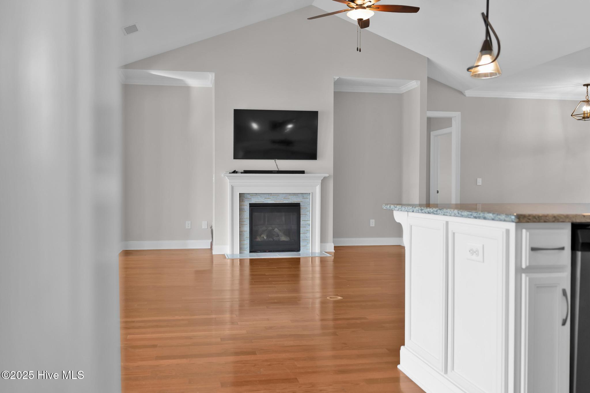 100542823 | Photo 50