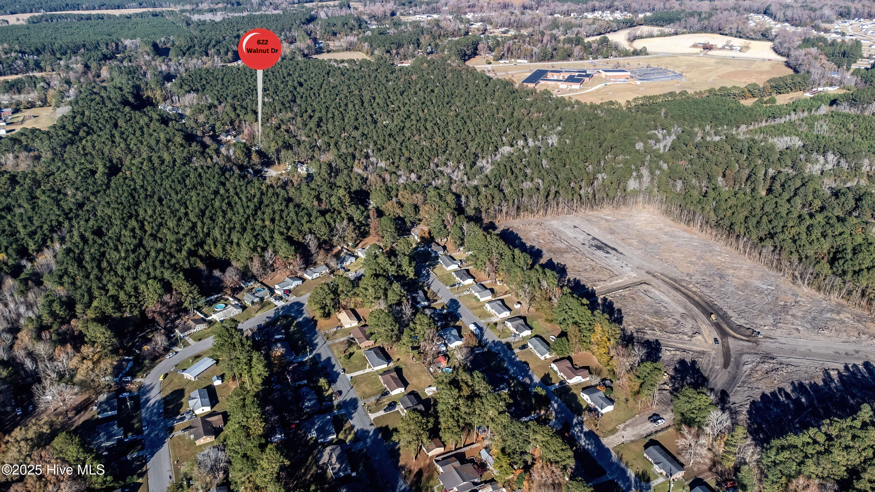 100538278 | Photo 55