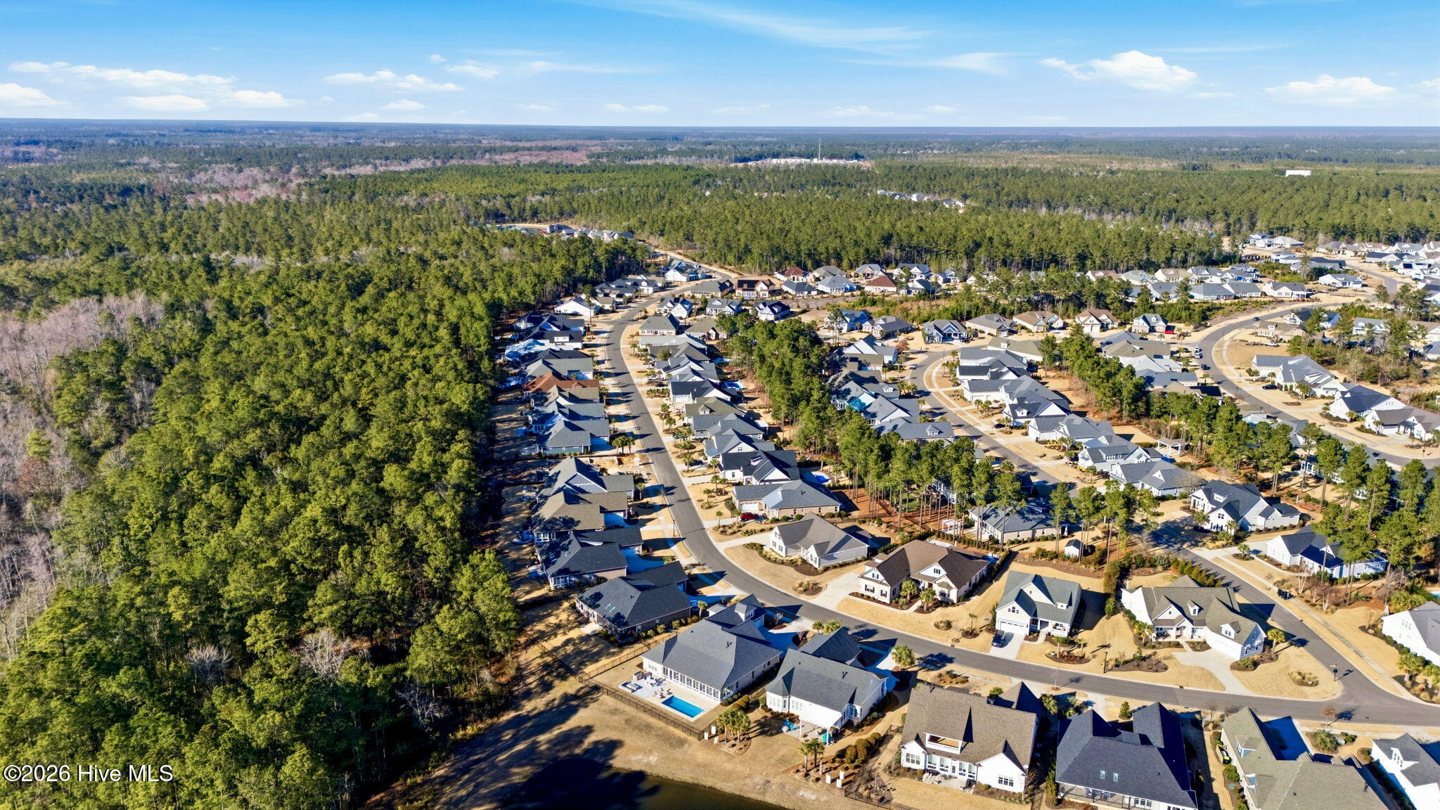 100555093 | Photo 52