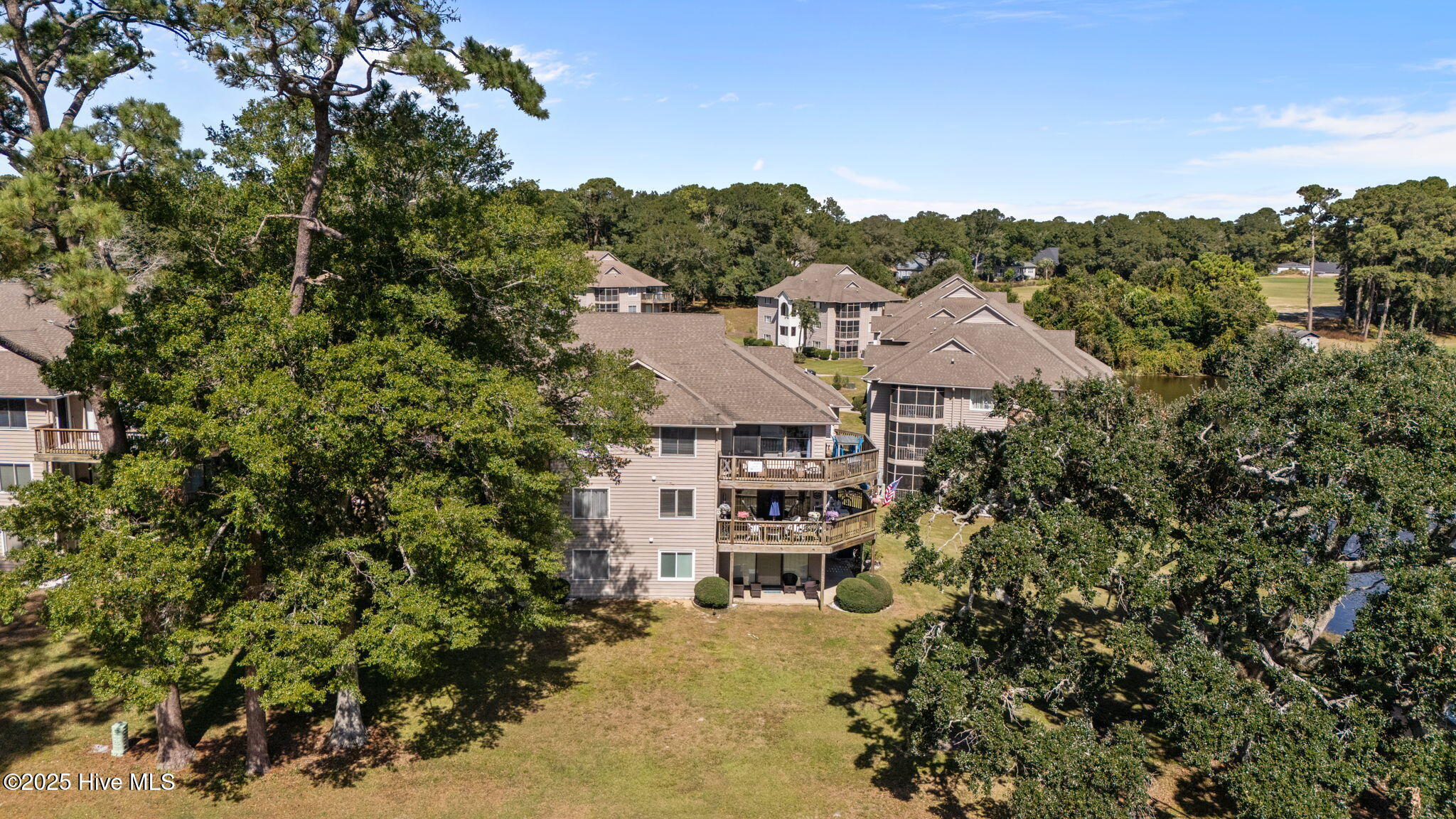 100534962 | Photo 31