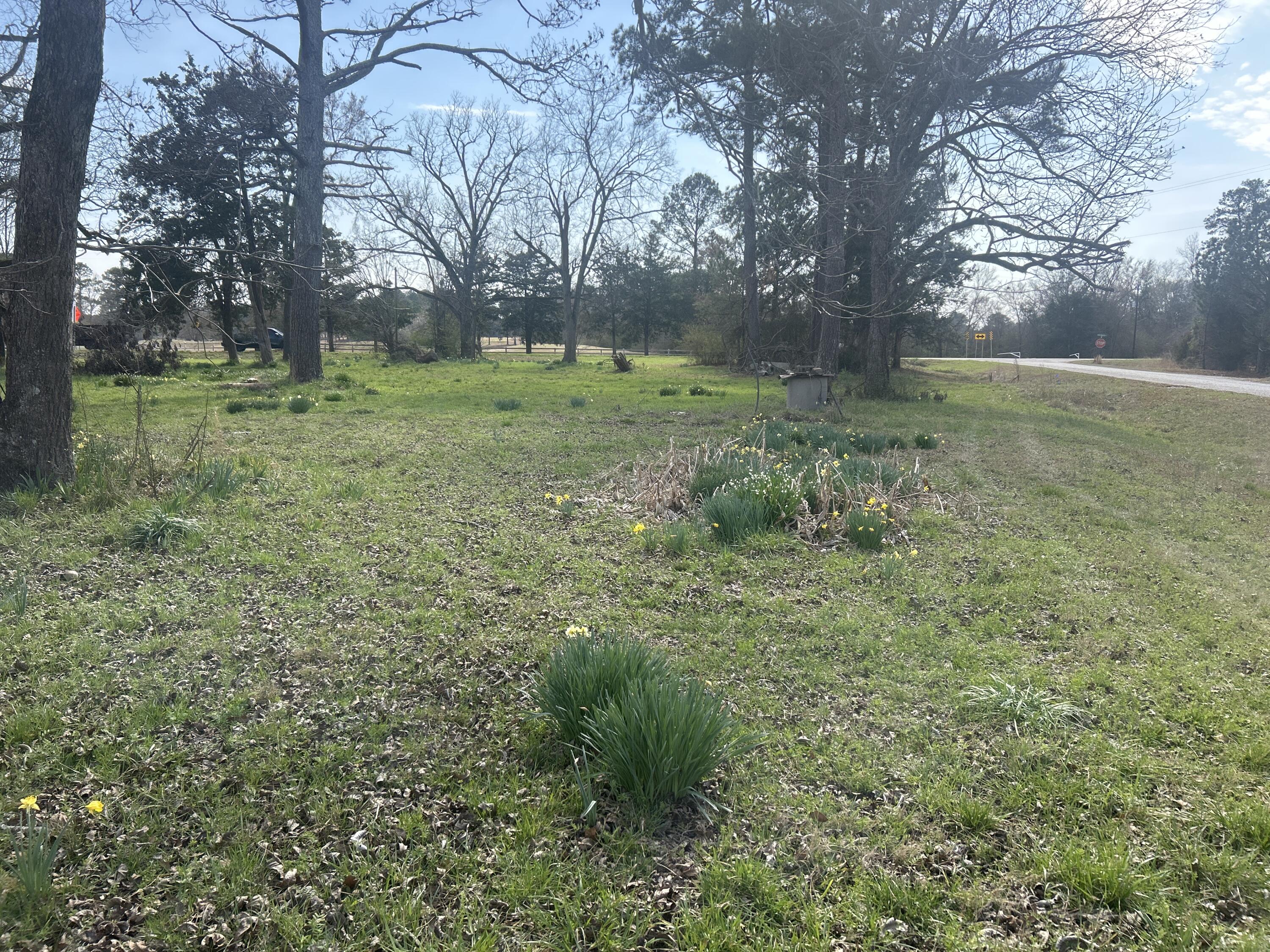 1046 Holloway Road, Lincolnton, GA 30817 Listing Photo  1