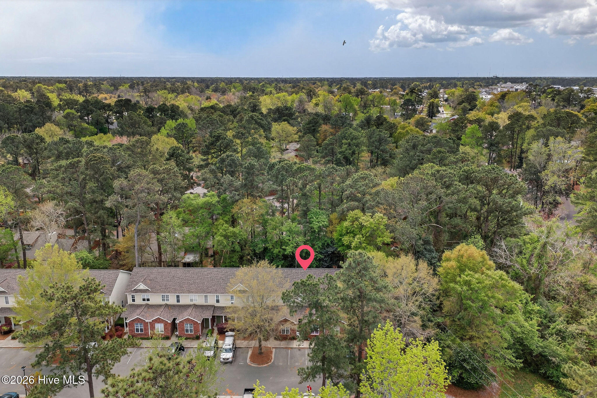 100564267 | Photo 23