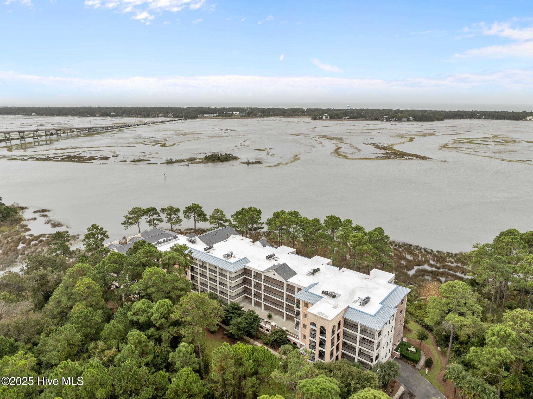 100535787 | Photo 51