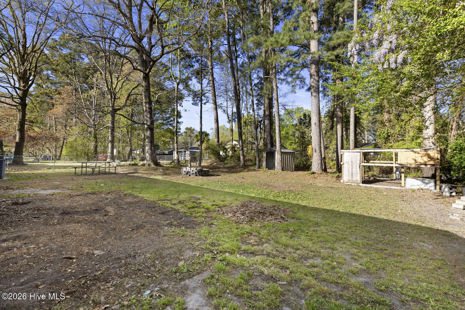 100564330 | Photo 19