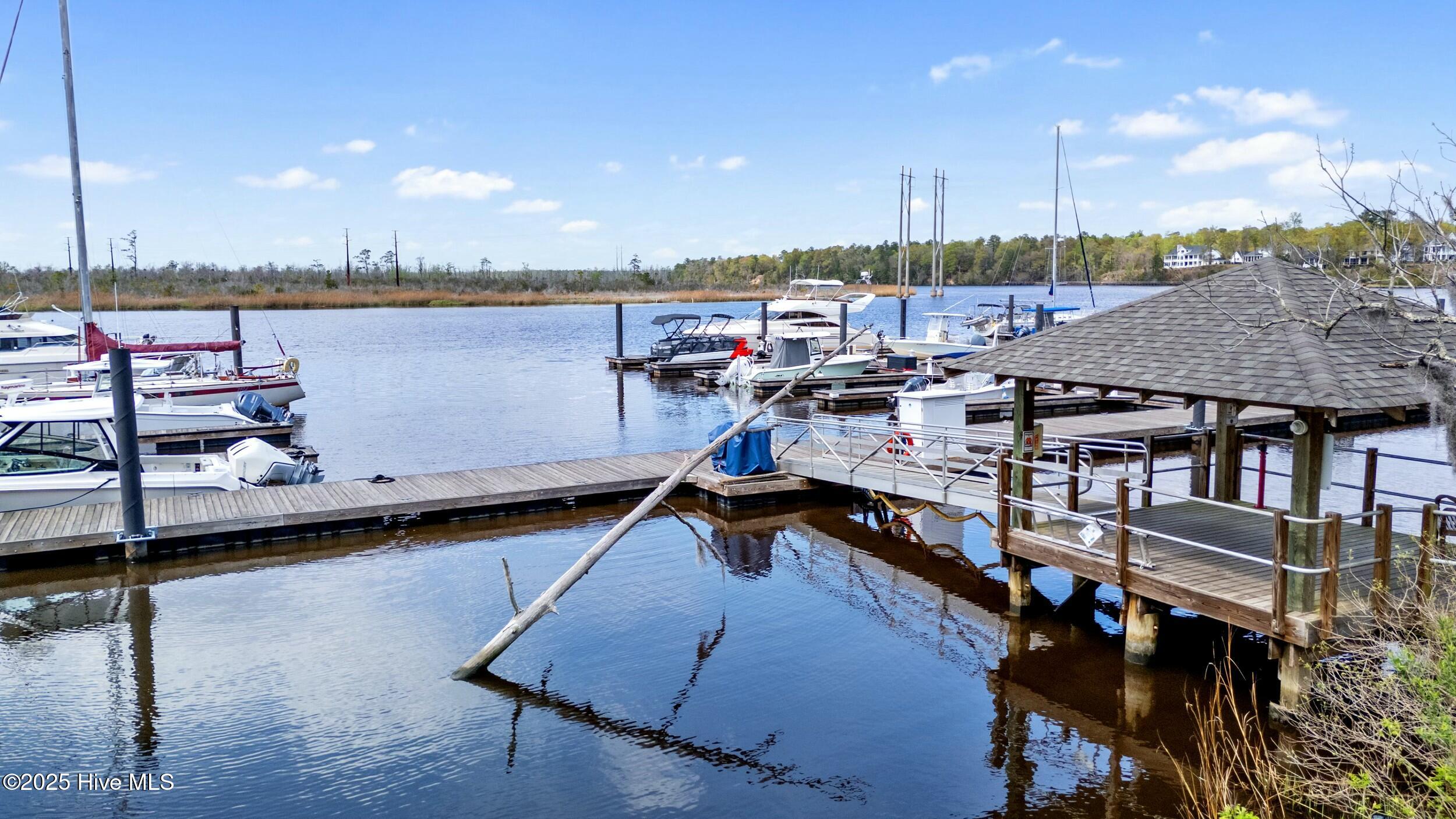 100498490 | Photo 56