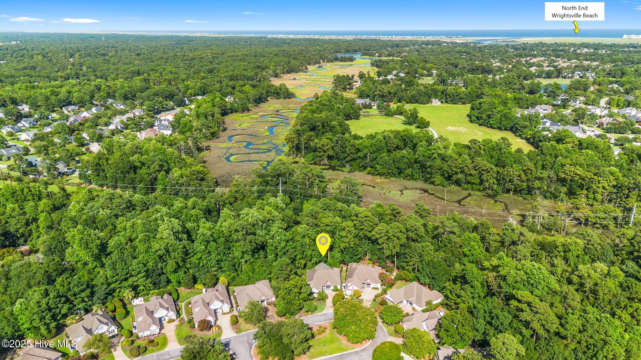 100520389 | Photo 81