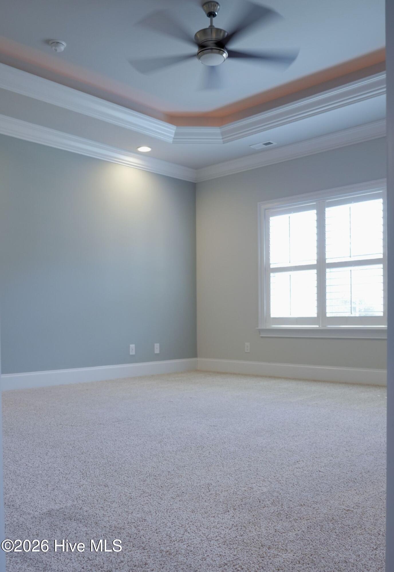 100554172 | Photo 21