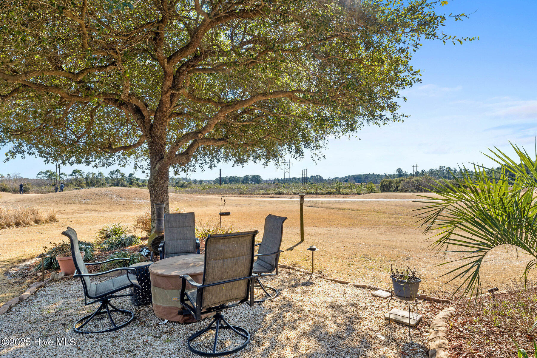 100486542 | Photo 22