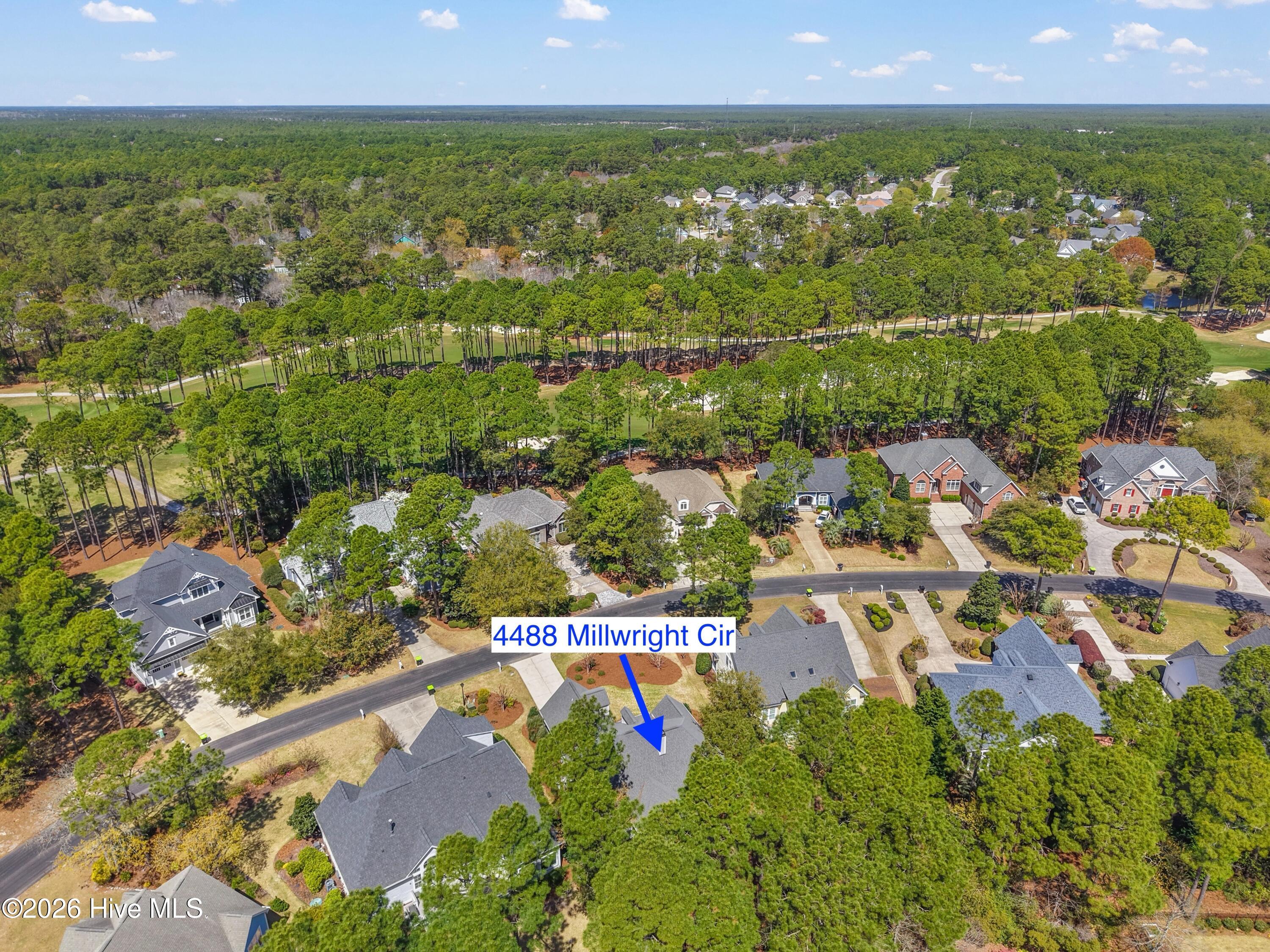 100563713 | Photo 48